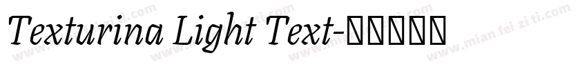 Texturina Light Text字体转换